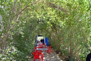 IMG 20251027 WA0057 1 600x400 2 300x200